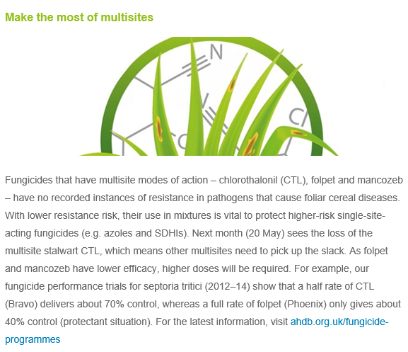 EnviroTeresa's tweet photo. The latest edition of @AHDB_Cereals Crop Research News was packed full of important and useful articles with reference to AHDB's research updates, monitoring tools, new app's and more. Snapshot below. DM me for the full edition or sign up here: https://t.co/kJyJFLMonG #yourlevy https://t.co/baL4BZ5JgP