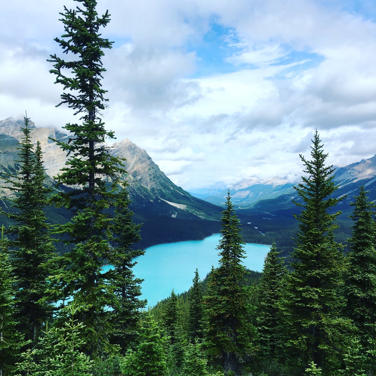 call_mountains's tweet photo. ¿Te animas a viajar a Canadá con nosotros? Aprende fotografía, escalada y mucho más mientras descubres la naturaleza de sus parques nacionales.

https://t.co/L4mp6bFPYB https://t.co/PijvtNqRAs
