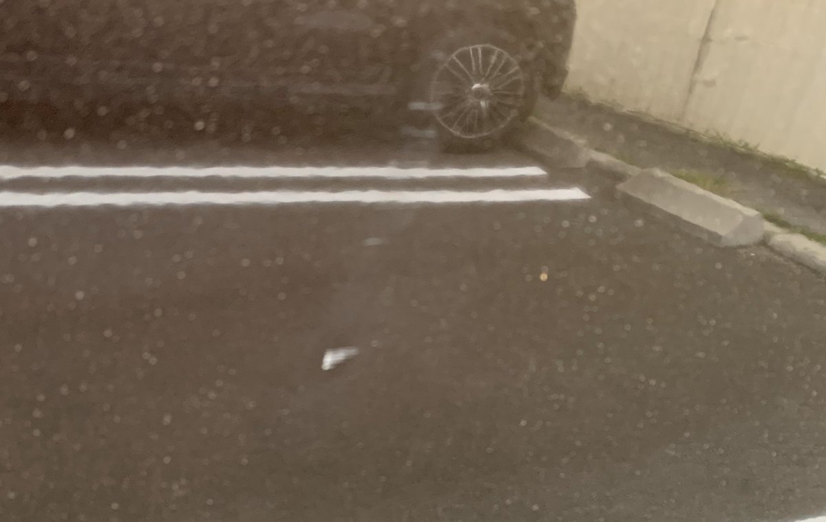 ルミたま 七味 車駐車場に放置してたから汚れてるw