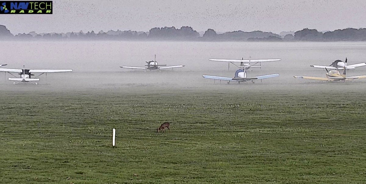 Hammysmith's tweet photo. A busy morning ⁦@WLACFlying⁩ - another beautiful day beckons - shame about the flying 😷 #aviation #avgeek https://t.co/gmEhkKT1n6