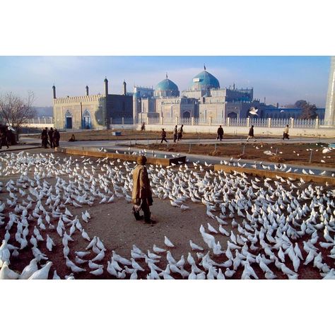 BiruniKhorasan's tweet photo. The Blue Mosque of Mazar-i Sharif.

Legend says doves are pure white because of the sanctity of the mosque, and that if a dove with a speck of colour flies in, it too will turn white.

About 10,000 white doves are said to roost atop the Blue Mosque's spiral minarets and arches. https://t.co/JKyjB2LlCU