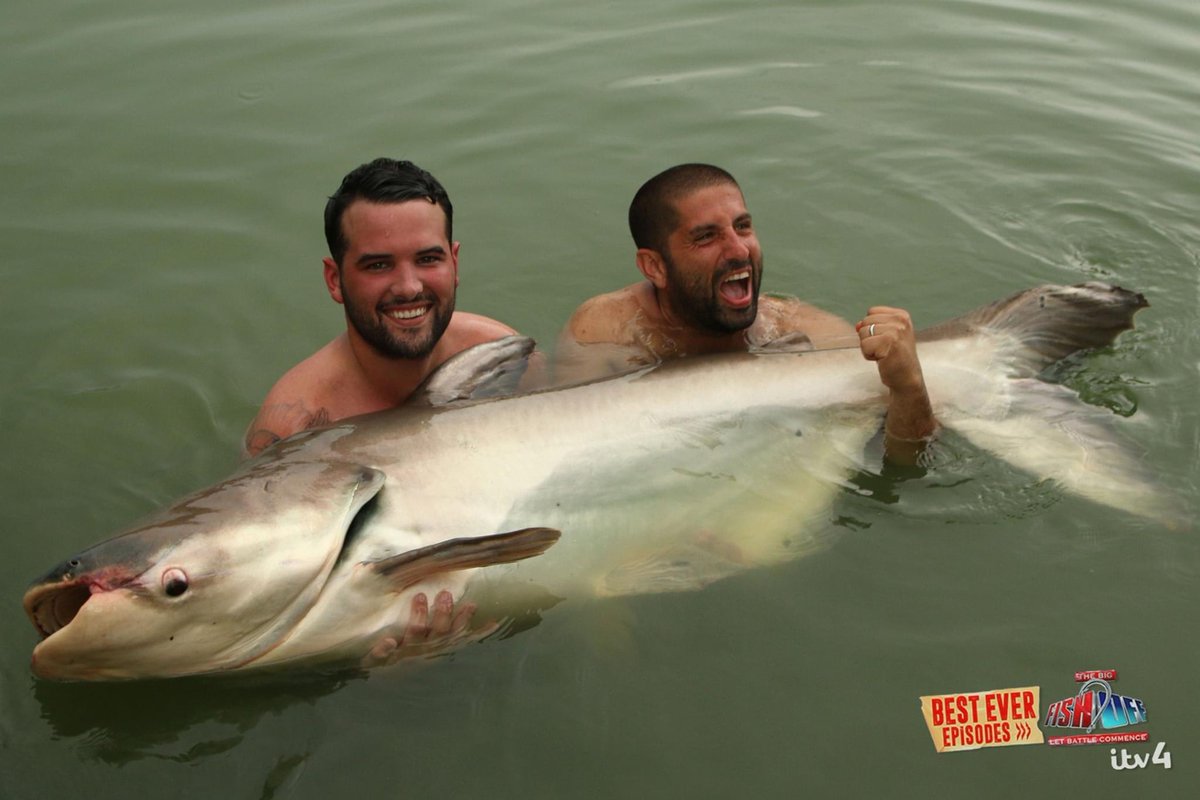 grandfishingad's tweet photo. 💥TONIGHT at 8pm @ITV4 💥
It’s #TheBigFishOff in Thailand 🇹🇭
🐟🐍🐒 🦈🦂🐢🦟🐛🦩🦖
.
@AliHamidi and @DeanMacey are joined by TOWIE star @RickyRayment &amp; pro boxer @MitchellSmith92 👊🏼💥

MASSIVE Mekong catfish, GIANT arapaima &amp; more!

An hour of non-stop banter, fun and fishing! https://t.co/ma5KSZAdTg