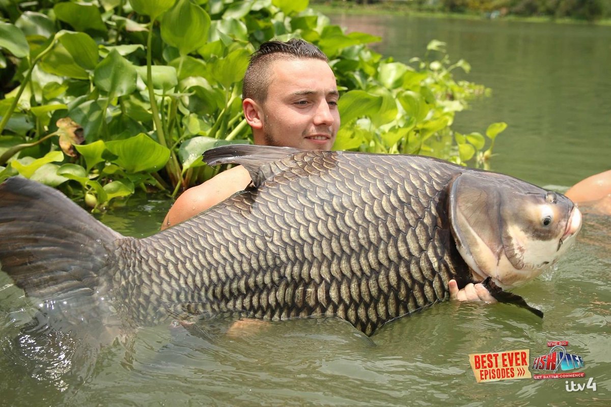 💥TONIGHT at 8pm @ITV4 💥
It’s #TheBigFishOff in Thailand 🇹🇭
🐟🐍🐒 🦈🦂🐢🦟🐛🦩🦖
.
<a href="/AliHamidi/">Ali Hamidi</a> and <a href="/DeanMacey/">🇬🇧Dean Macey🇬🇧</a> are joined by TOWIE star <a href="/RickyRayment/">Ricky Rayment</a> &amp; pro boxer <a href="/MitchellSmith92/">Mitchell Smith</a> 👊🏼💥

MASSIVE Mekong catfish, GIANT arapaima &amp; more!

An hour of non-stop banter, fun and fishing!
