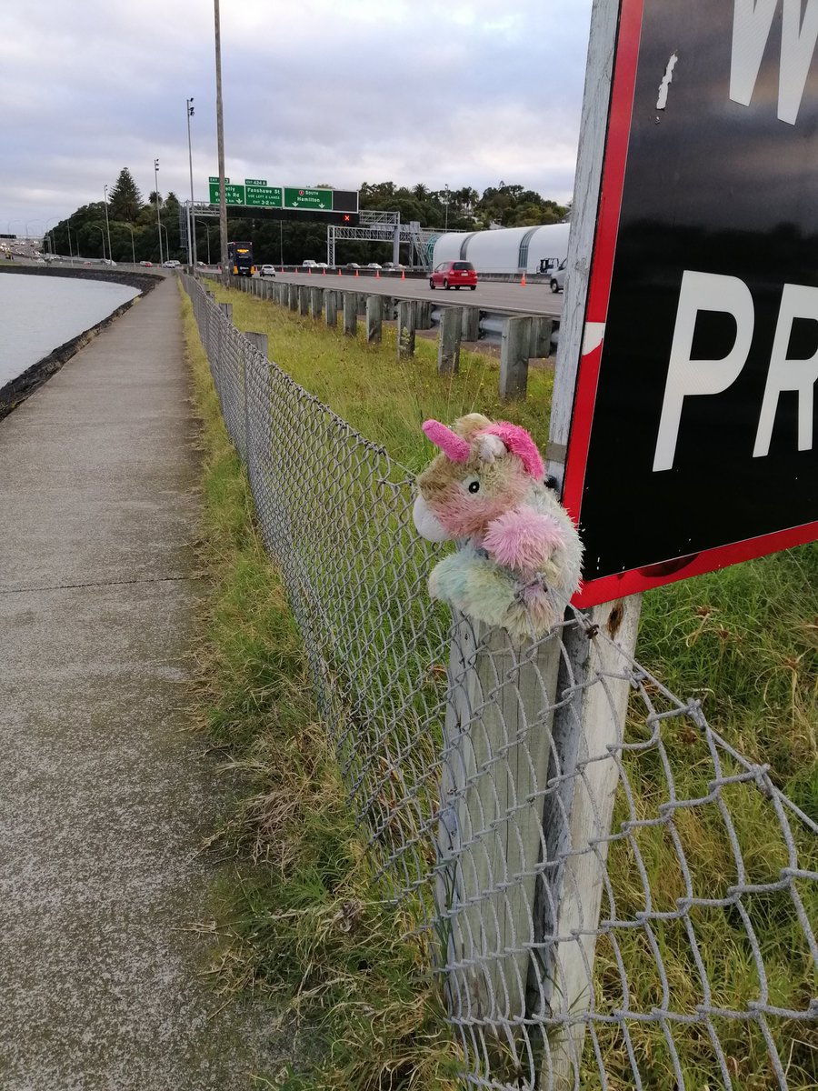 No one wants motorway unicorn.
Motorway unicorn is unlovable