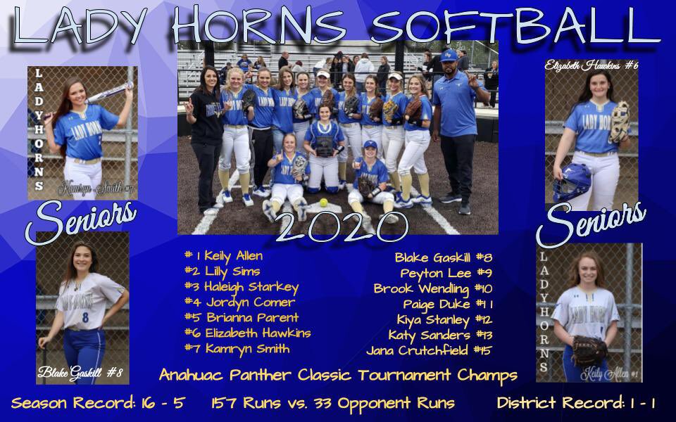 Little dedication to our season! 💙🥎💛🤘🏻💙  Love all these ladies!  Yes, it was unfinished, but dang it was a blast while it lasted!