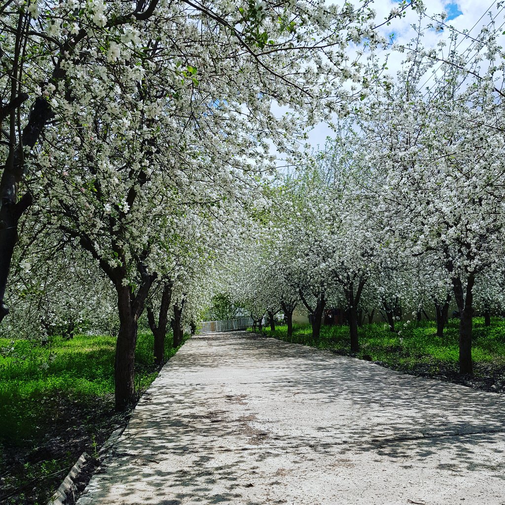 #kurdistan #nature #freedom