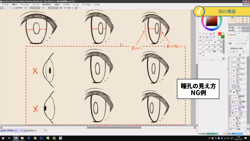 お絵かき講座パルミー 目の構造から学ぶ 角度別 瞳孔の見え方の違いです T Co Oly8cvttpx お絵描き イラスト