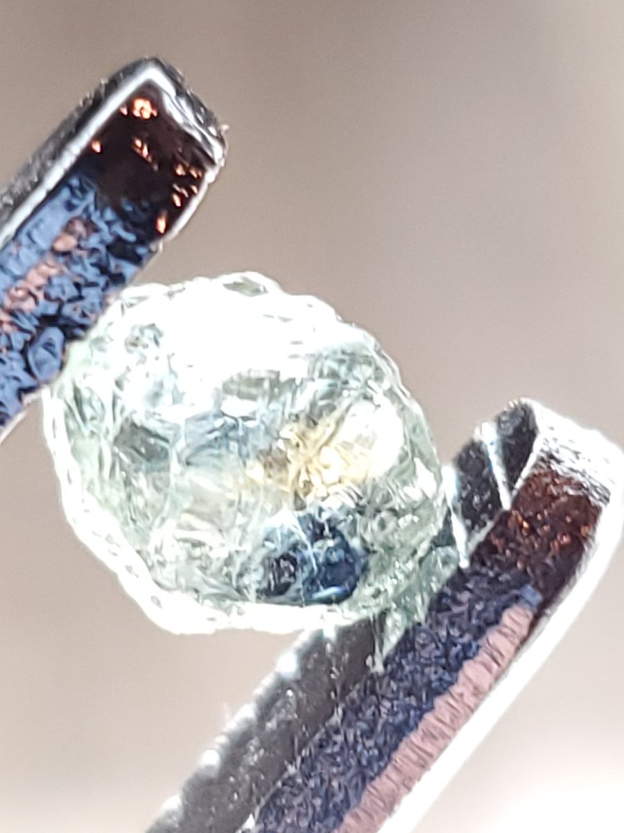 MHSP_Official's tweet photo. Auctions are back up and running! Come visit our #discord server here:
 https://t.co/upcpLf29v6

The auctions are held in server for #gemstones. We have shiny things. https://t.co/g9rZ4POMV7