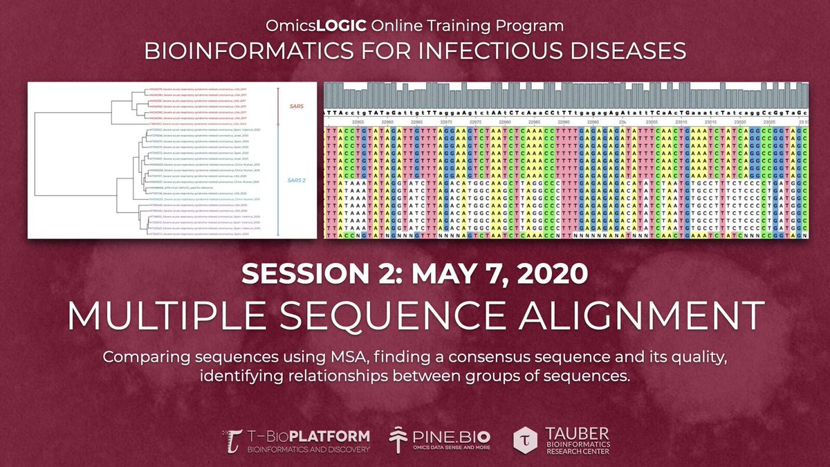 OmicsLogic's tweet image. The 2nd session of the #BioinformaticsforInfectiousDiseases Program is today (May 7th) at 10:30 a.m. CST where we will discuss about muliple sequence alignment. 

To register for this event, click here - bit.ly/2L6lZTV

#msa #viraldiseases #phylogeny #learnwithpine