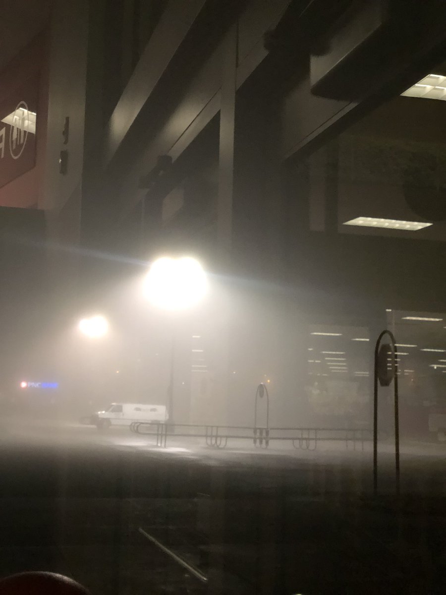 Julia Sheffo tweet media