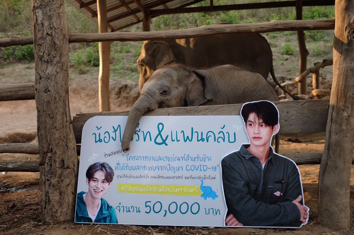 allbright_ofc's tweet photo. ไบร์ท และแฟนคลับ นำเงินที่เหลือจากการช่วยเหลือไฟไหม้ป่าและเงินหลังหักค่าใช้จ่ายโปรเจคเสื้อทำบุญ บริจาคให้ศูนย์วิจัยช้างและสัตว์ป่า ม.เชียงใหม่ และกองทุนศูนย์อนุรักษ์ช้างไทย สมทบทุนโครงการยาและเวชภัณฑ์สำหรับช้างที่ได้รับผลกระทบจากปัญหาCovid–19 หน่วยงานละ 50,000 บาท 

#bbrightvc https://t.co/DmHrCEyNm7