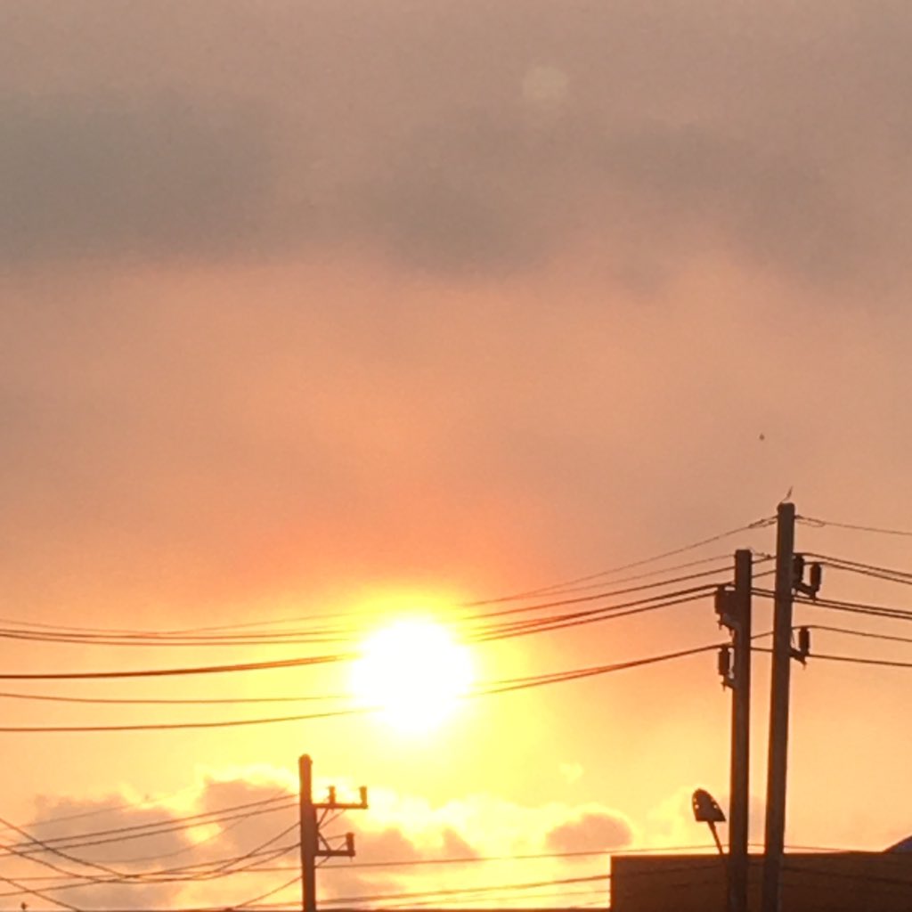 Risa56285186 tweet picture