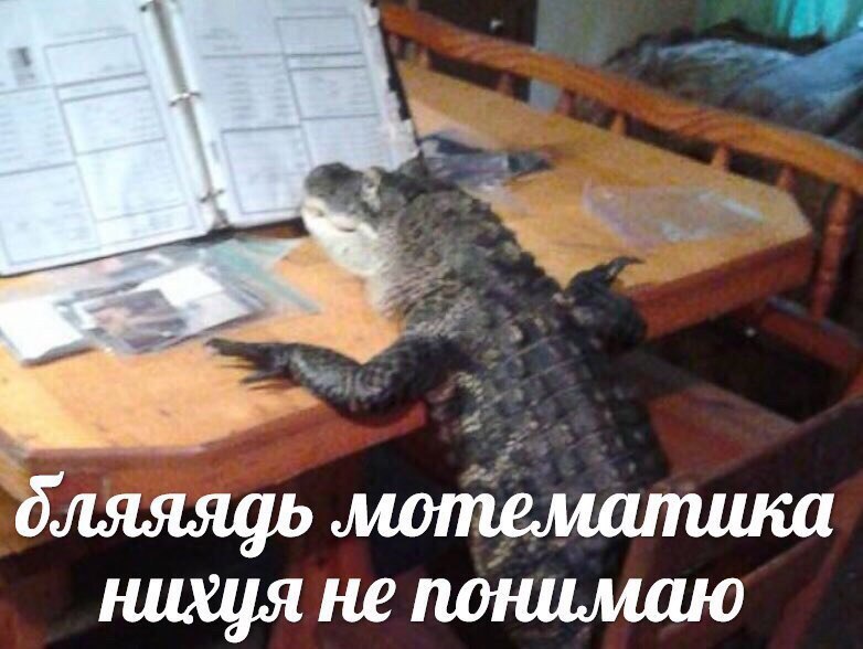 J1SUNSH1NE's tweet photo. #ryulia au,
где рюджин за всю жизнь выучила только формулу дискриминанта, но двойка за экзамен по математике сулит большими неприятностями,
а джису просто любит учить людей. https://t.co/vHCxf7o9bT