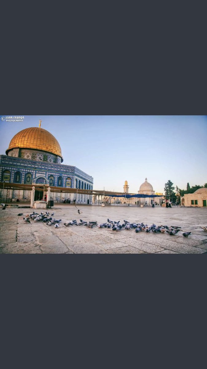 نواف الشمري 🇹🇷 tweet media