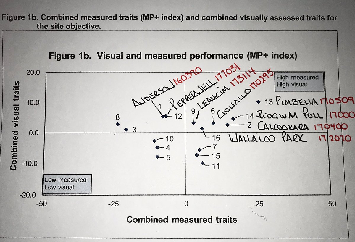 There’s one corner of these great AMSEA generated graphs that a stud needs to be in - the Visual/MP+ tandem is a beauty and that top right hand quad is it. Final assessment from the SA SIRE EVALUATION TRIAL 2019 DROP.