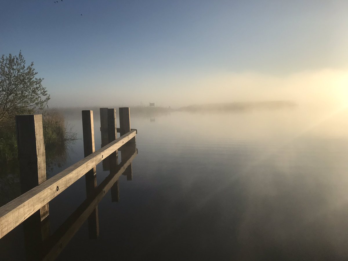 Marcel Hoving 😸 tweet media