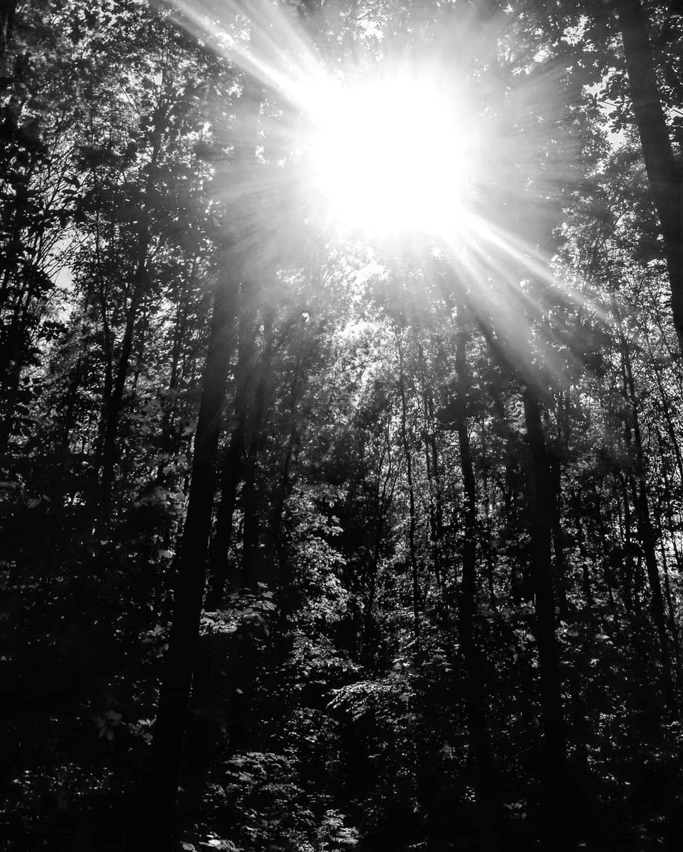Orosedo's tweet photo. Jour 52
Halo
#noiretblanc
#blackandwhite #perspective #confinement #photographer #covid_19 #photography #calm #landscape #photographic #photographylovers #photographe #photo #photograph #pictures #pic #pictures #woods #forrest #cabane #noiretblanc #blackandwhitephotography #halo https://t.co/MdHYn8BLOP
