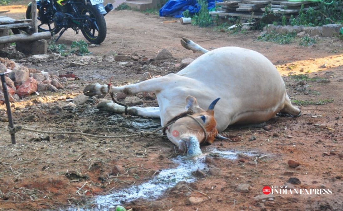 drKumaravel's tweet photo. Man made disaster. #LGPolymers #Gasleakage #chemical Similar to #UnionCarbide #Bhopal tragedy Updates are terrifying 5villages & 5000 fall sick after styrene gas leak #Vepagunta near Gopalapatnam in #Visakhapatnam around 2:30 IST today #PVCGAS #AP #environment #HindusthanPolymers https://t.co/jhmgbsTfmL