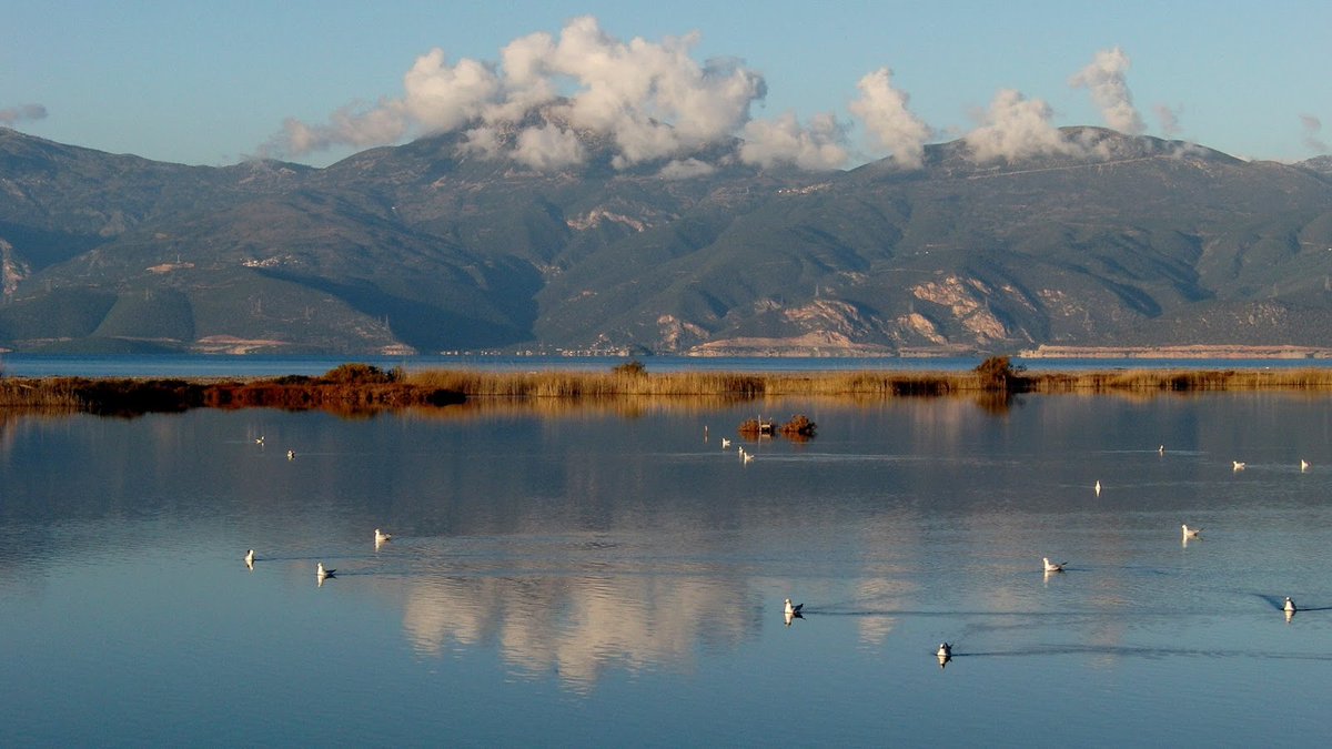 YpenGr's tweet photo. Τι αλλάζει στη ζωή μας με τον νέο περιβαλλοντικό νόμο
👉https://t.co/1D7xBaJI0y

#ypen #περιβάλλον #environment https://t.co/XORYEjXE28