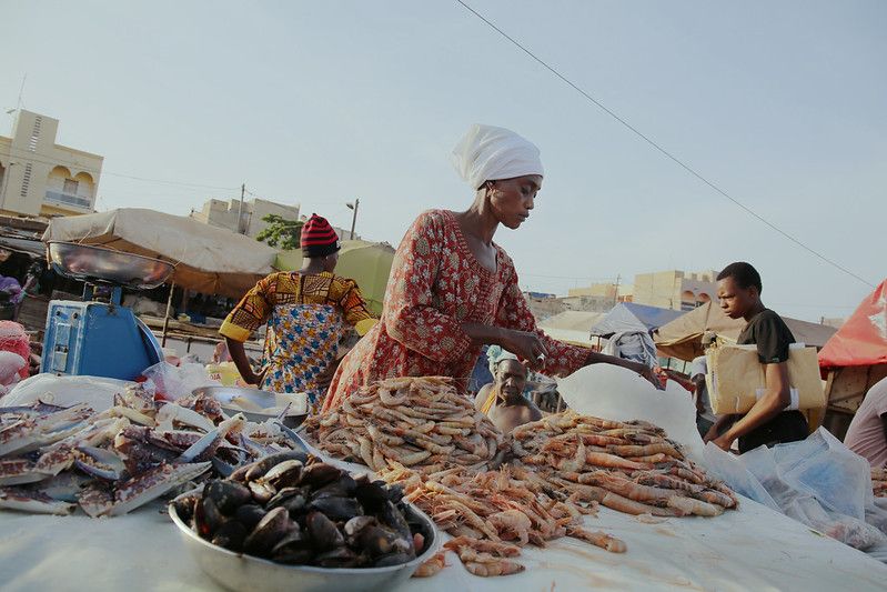 CGIAR's tweet photo. Join @IFPRI &amp; @WorldResources for a Virtual Event on #FoodLoss and Waste that will address the question: "Can we end it by 2030 while dealing with the #COVID19 pandemic?" 

📅 May 12, 9am New York. Learn more: https://t.co/RrPgQd3eMv https://t.co/AFWwSJv07V