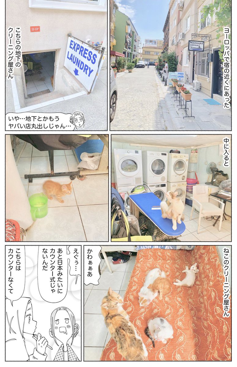 本日更新しました。
海外の芸術的な
もろもろですので
ぜひぜひ☀︎
よろしくお願いします^ ^
https://t.co/8NUA74lzq8 