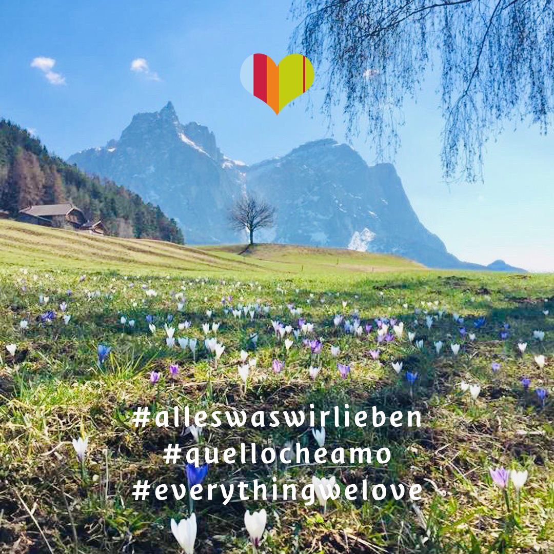 Kastelruth1's tweet photo. Einen wunderschönen guten Morgen in die 🌍 https://t.co/JBIZPJ2QVE