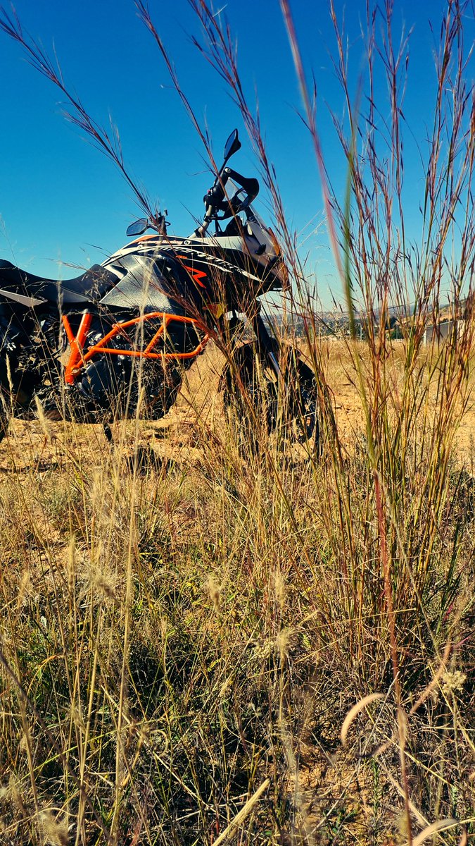 ted_pops's tweet photo. #AngelaMerkel loves to be in her natural habitat!🏍
#Fast_KTM #FastKTM
#TeamKTM #TheOrangeArmy
#KTM #KTMadventure #KTM1190R #KTM1190adventure https://t.co/Osgrk54olB
