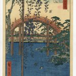 main image of this resource
