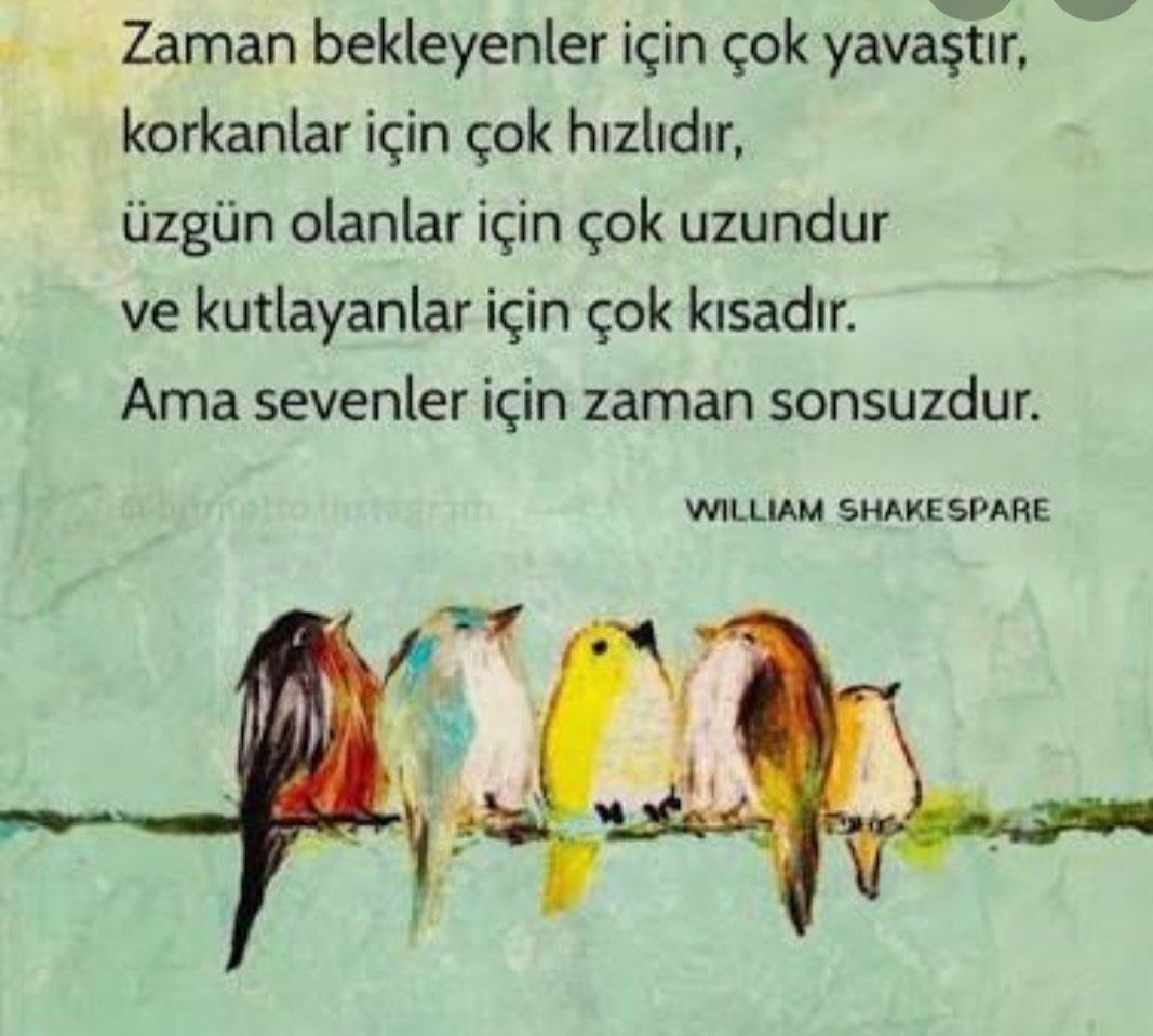sengoz_sultan's tweet photo. https://t.co/AxnVOpqOJh