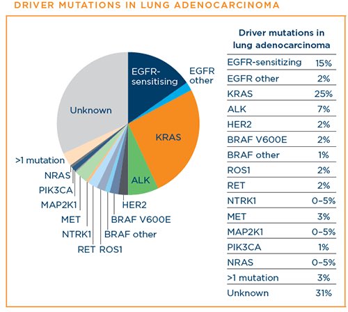 Capmatinib FDA-approved for MET ex14skipping mutation+ NSCLC

About 1/3 of NSCLC patients have indication 4 targeted tx by now,& the pie chart is enlarging day by day

RET may be next, w\ more BLU667 & LOXO292 data presented in #ASCO20, & several KRAS-i trials ongoing

@OncoAlert