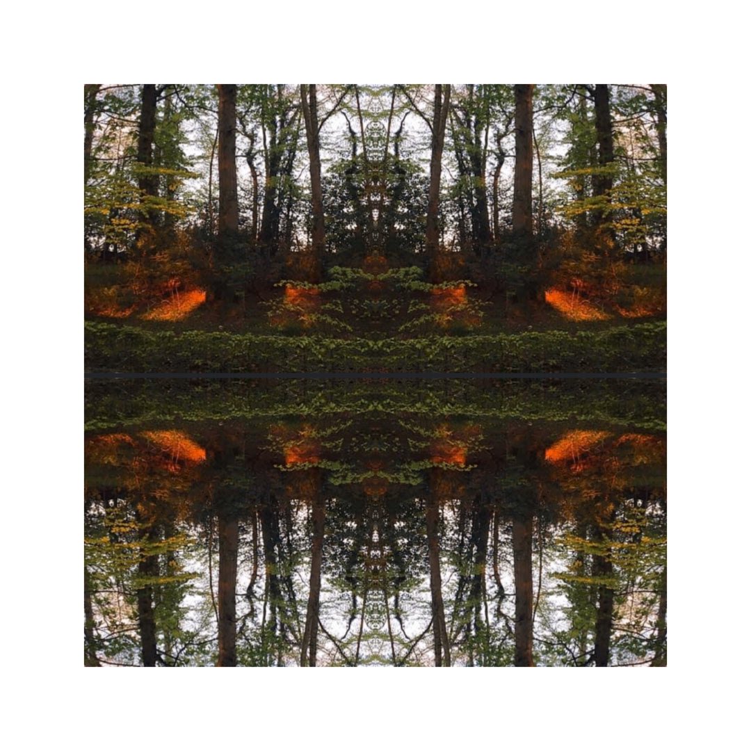 One of three from my latest triptych ‘The firetrees of Northumberland’. [See them all over on my Insta accounts: poetech_poetech; textblockcentral &amp; ayearinbeadnell] @WoodlandTrust @northcoastaonb <a href="/alnwickgazette/">Northumberland Gazette</a> <a href="/royal_forestry/">RoyalForestrySociety</a> <a href="/ForestryComm/">Forestry Commission</a> <a href="/ForestryEngland/">Forestry England</a>
