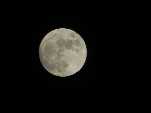 InfoGujcost's tweet photo. We have witnessed #pinkmoon2020 last month, Today it’s time for #FlowerMoon or #VaisakhMoon, last #supermoon of the year 2020. The event will be visible at 4.15 pm in India, still can enjoy online over YouTube. Next super moon on April 2021. @hareets @dstGujarat https://t.co/7WYHtpj6Cx