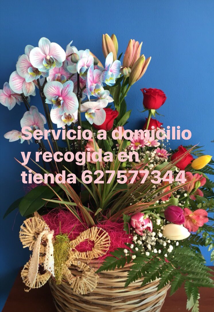 Syldavia Floristas (@syldaviaf) on Twitter photo 