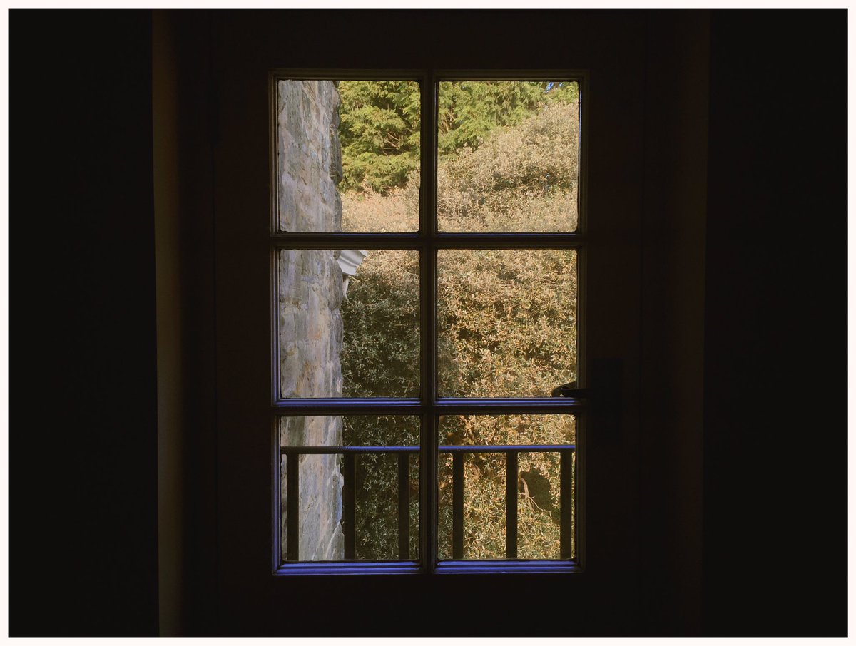 Lee Shearman tweet media