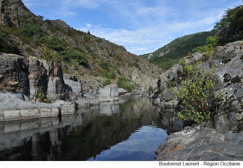 Région Occitanie tweet media