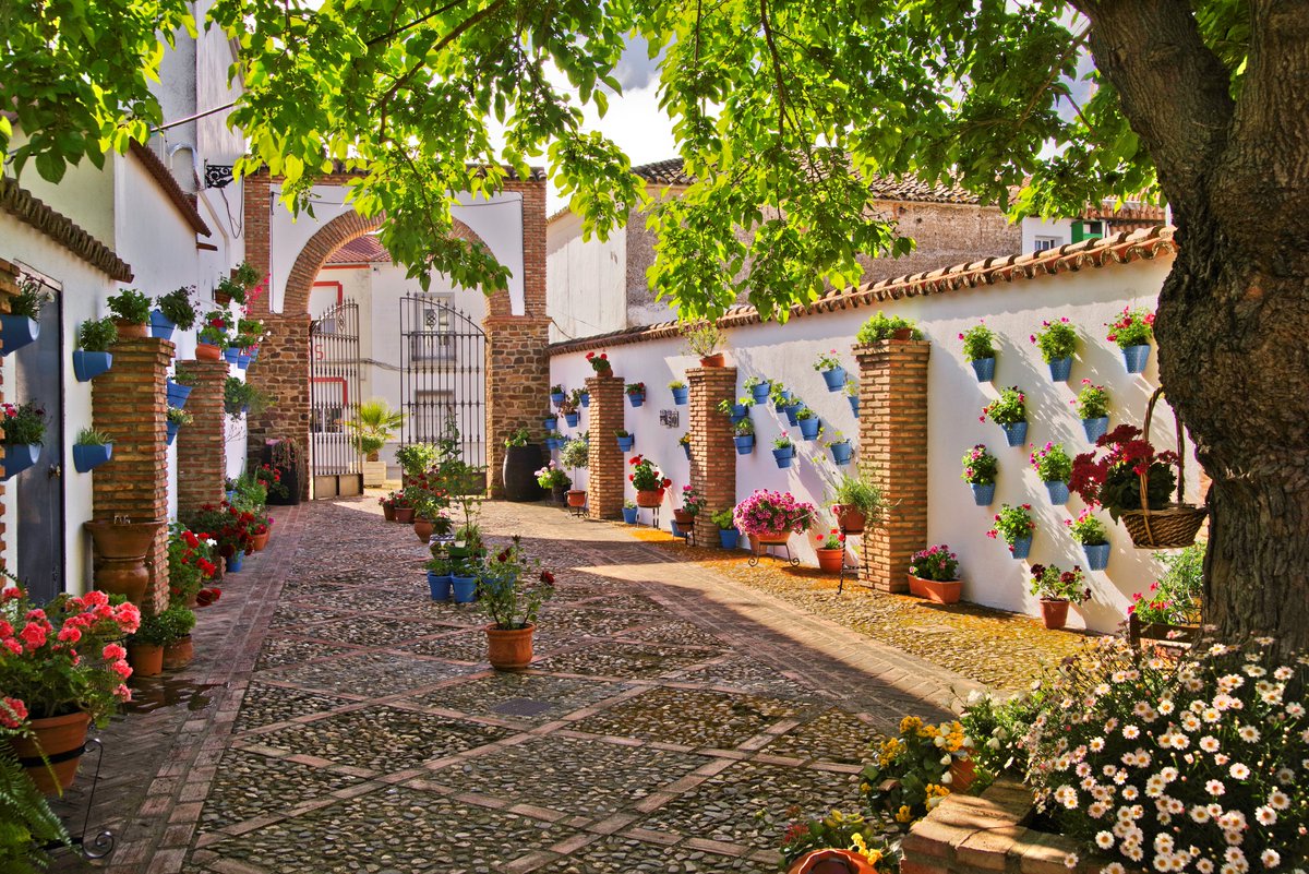 En mayo, la riqueza patrimonial y artística de la #provinciadecórdoba se colma de color. ¿Qué rincón típico te gustaría pasear y descubrir?

#córdoba_mágica #córdobaenmayo #patiosrinconesyrejas #belmez #cañetedelastorres #iznájar #lagranjuela