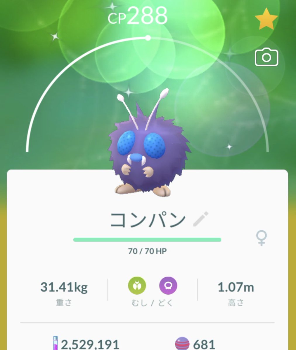 コンパン Twitter Search