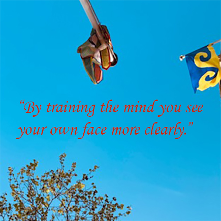 “By training the mind you see your own face more clearly.”

#midtraining #buddhism#dharma #teaching