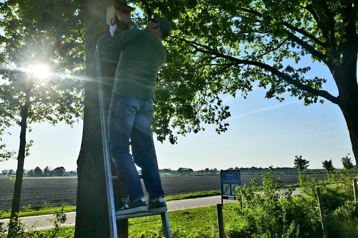 josvangool's tweet photo. Nestkastcontrole door Natuur en Weidevogelvereniging Reusel-de Mierden op het sportpark van Hulsel. https://t.co/IKvqj1e6RT