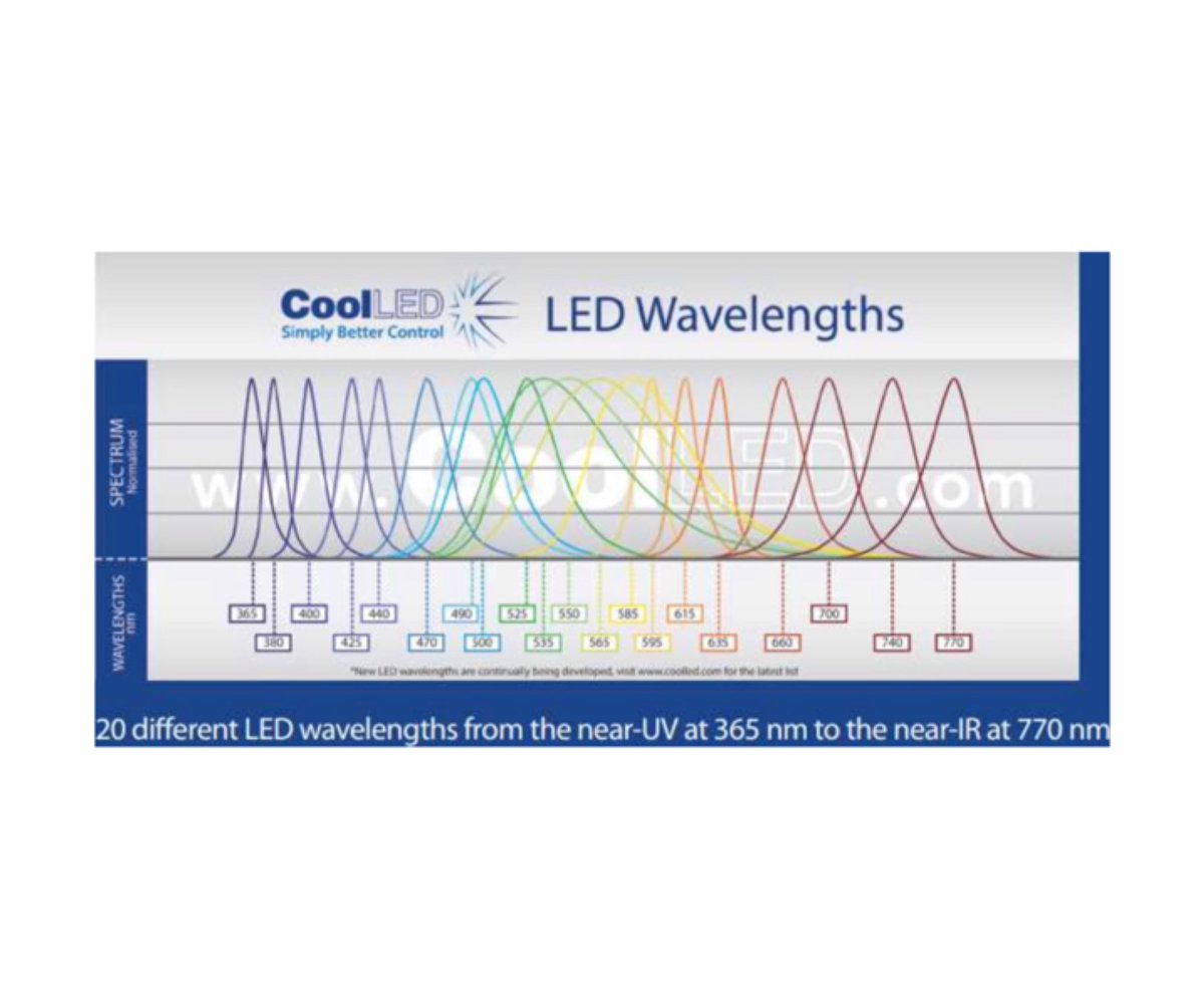 GivetechsLLC's tweet photo. CoolLED
PE100シリーズ
PE100は、20種用意されているLEDモジュールよ り必要な波長を選択いただけます。顕微鏡への接 続方法はダイレクト・LLG・SMAファイバのいずれ か一つを選択いただけます。
#LED光源
#顕微鏡
#蛍光観察
#明視野観察
#CoolLED
https://t.co/L342kfEsMq https://t.co/jqjHPduO0Z