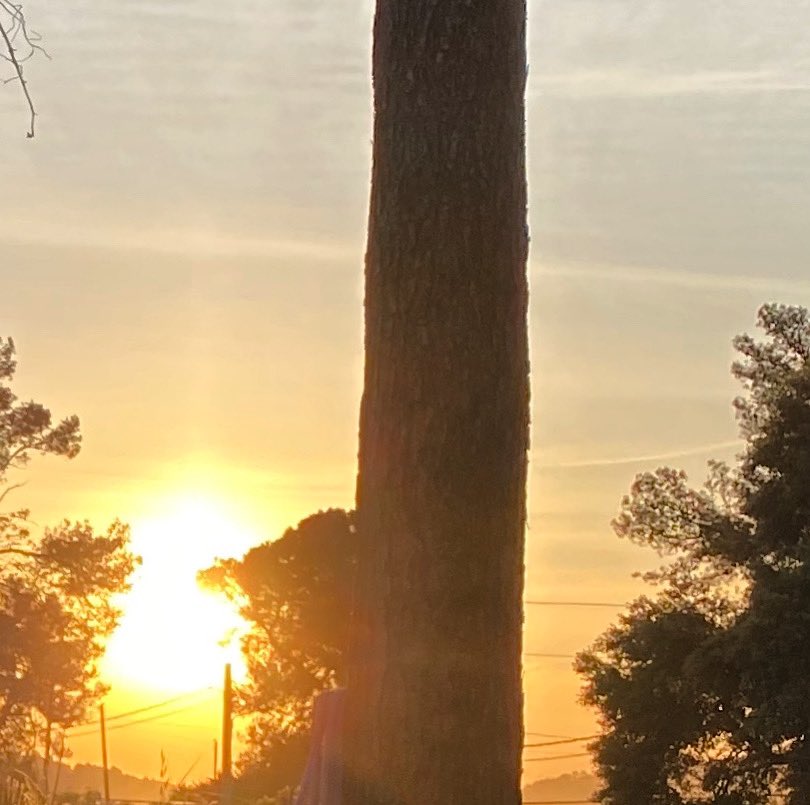 MartaYebra's tweet image. #goodmorning #7thmay #newday #newsunrise #letsgo Jueves. Mitad de semana. Y son ya muchas dentro de esta película que esperamos que tenga un final de guión esperanzador después de todo lo que está dejando a su paso. Vamos a por este jueves y a por todas. Cuidado y ánimos