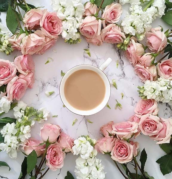 jet_new's tweet photo. @Silviadomi22G @RosanaFava @monicasloves @otrogoga60 @RosaTrunk @Javedch77 @TaposKumarBasu @marinavibu609g @sitaravirgo @vickiemoore07 @Silviadomi222g @SolyMar66091744 @virgyane @Chrissyhowell16 @Edward733 @LevykinV @WALLI27 @heroldbarton @khanhakim_k @DidiPraveen @PatGrant7777 @nancy_dills @Alexa17101614 @HumbleIndian @tadayokun @ersu1880 @djtroops @RosaNegra_08 @gourley_jason @prado_yaiza @PetalsTm @ZEYNAZERDA @mr_khaleeque @ivymarina1 @J5rson @ynfqn318 @veronicamadel @Hirokilove12287 @ranasilvia63 @luzma04042407 @henrirousseau12 @seaweed115B @bovb51 @SSscoop475 Peace & harmony
with love and happiness
💫🌺🌹💫🌺🌹
#StayHomeStaySafe
💫🌺🌹💫🌹🌺
#beautiful_Friends
💫🌺🌹💫🌺🌹
#PRINCESSE
💫🌺🌹💫🌺🌹
🌺🌺Happy Thursday 🌺🌺 https://t.co/SN4NqfX2Od