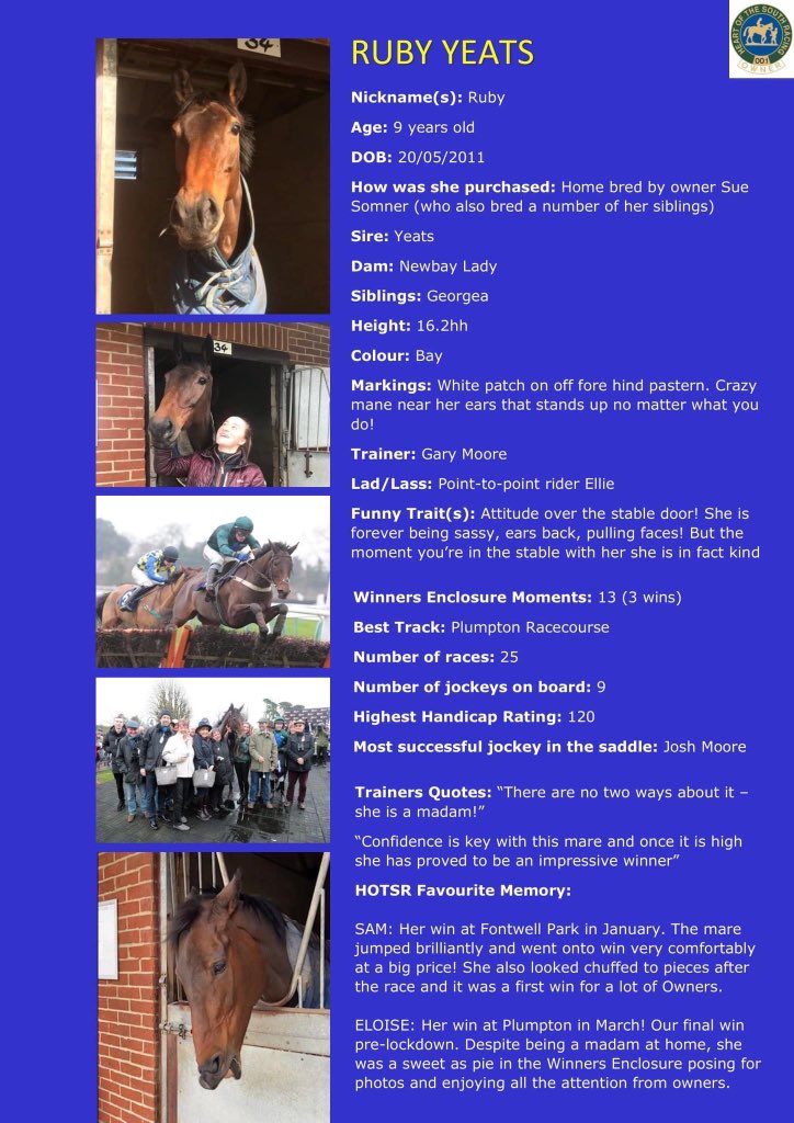 RacingHOTSR's tweet photo. R is for RUBY YEATS
Back-to-back imposing hurdle winner in 2020 &amp; more is expected from her. Three 5% lease shares available - get involved next season! 
Learn more about this mare here...! #rubyyeats #hotsr #glmooreracing https://t.co/rGihJWY51S