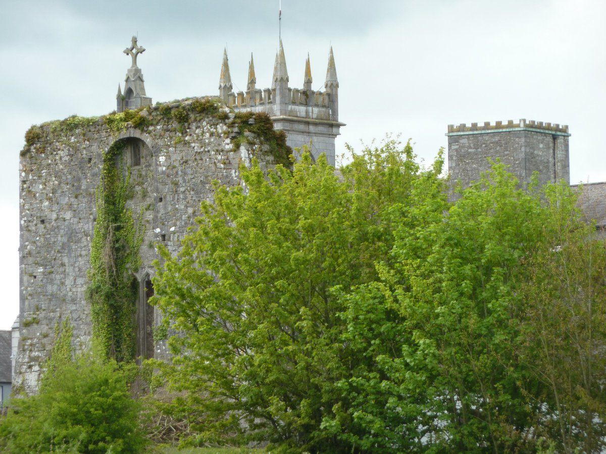 Medieval Buttevant tweet media