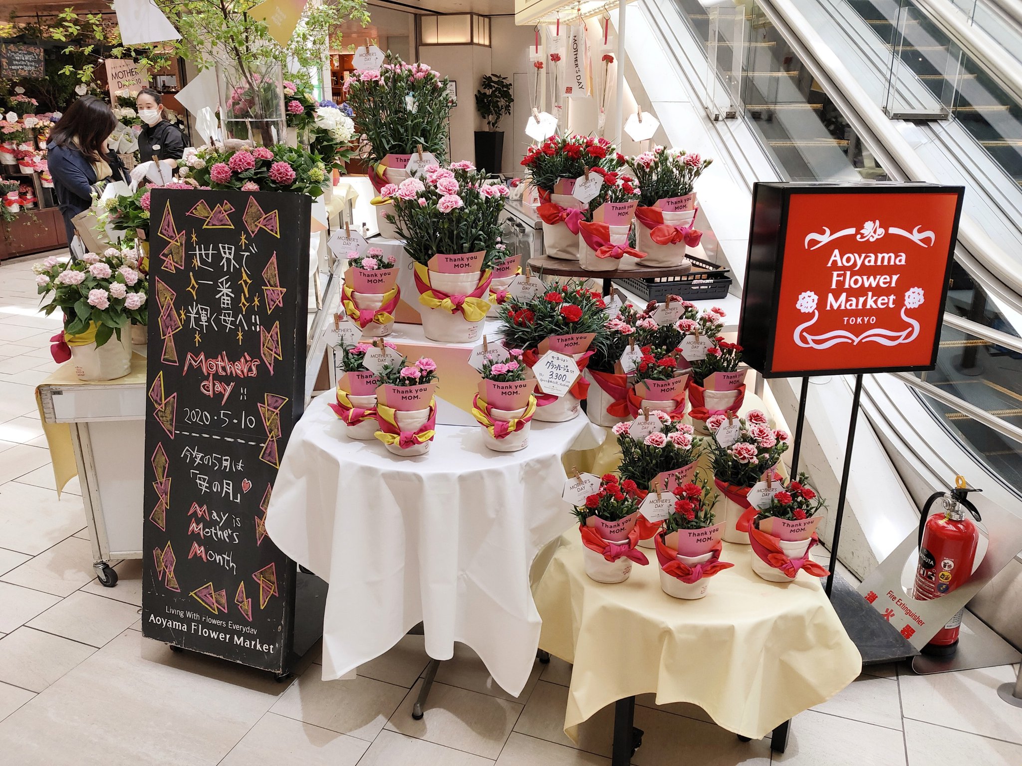 エキュート品川 青山フラワーマーケット 本日５月７日 10日まで エスカレーター横で母の日特設売り場がopen 定番のカーネーションや いろとりどりのアジサイなどをご用意しております 配送も承っておりますので お気軽にお立ち寄りください