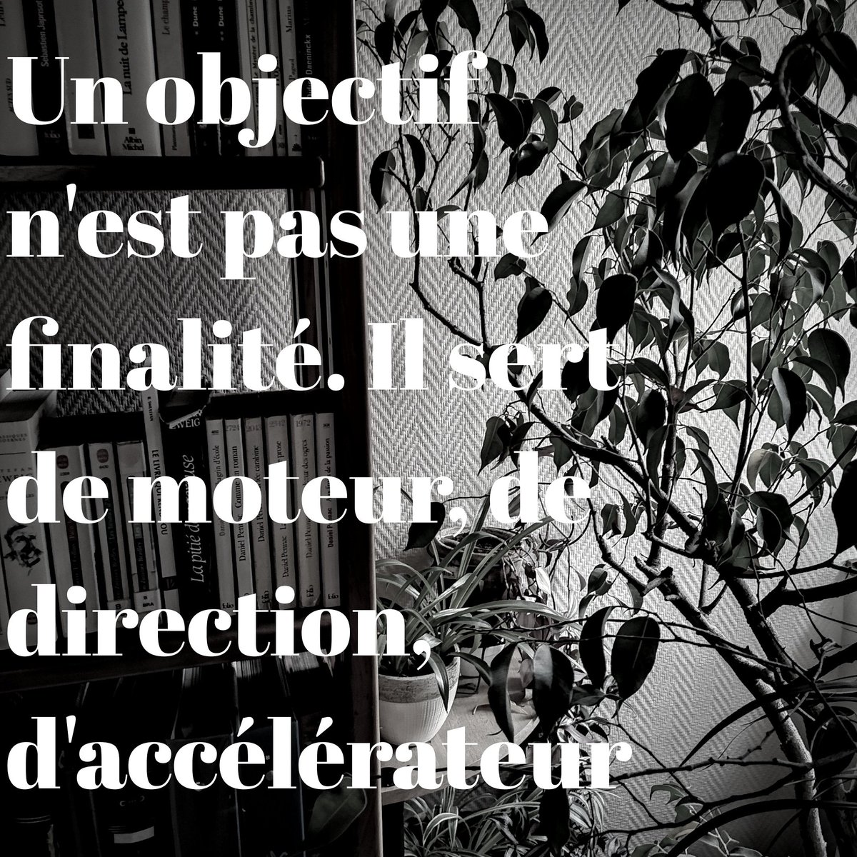 VilletteTimoth3's tweet photo. "Un objectif n'est pas une finalité. Il sert de moteur, de direction, d'accélérateur."
.
.
.
.
.
#citation #devperso #citationpositive https://t.co/j2Eb2LsKin