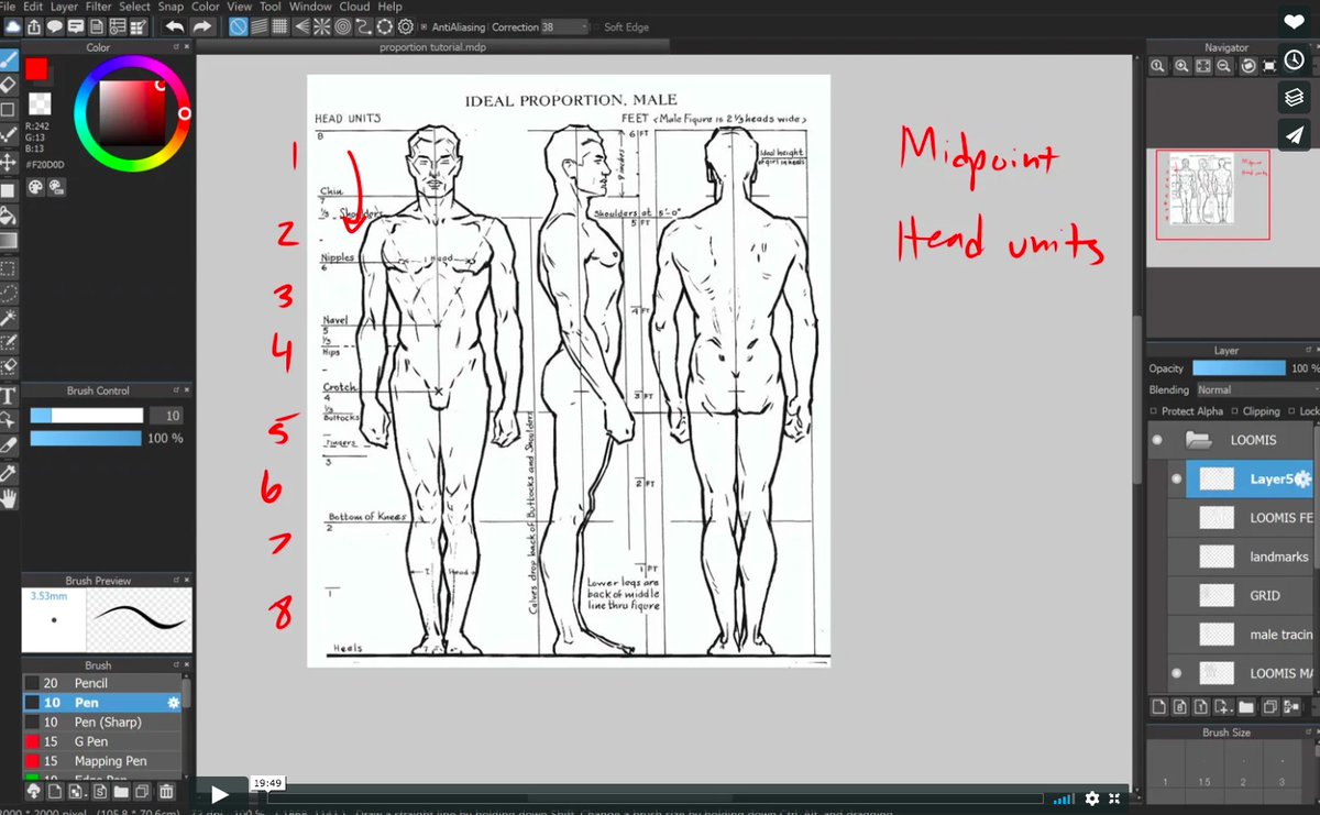 Free Video Tutorial // Figure proportions : From Humans to Stylized Characters https://t.co/cDJE3IxaWC 