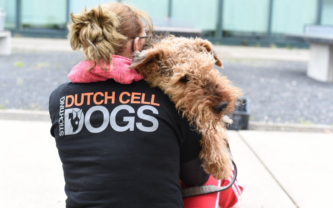 DutchCellDogs's tweet image. Komt er een einde aan? Een onvoorstelbaar spannende periode voor ons, de honden en de cliënten. Ga naar: dutchcelldogs.nl