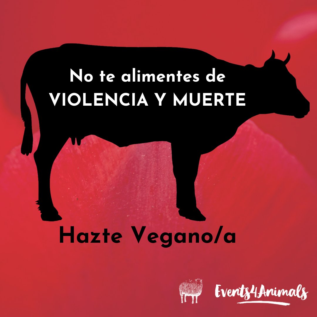 Events4Animals's tweet image. ⛔No te alimentes de violencia y muerte de animales que NO se lo merecen, empatiza con ellos 🐟🐥🐮🐂🐖🐐🐑🐔🐌🦐

Hazte vegano/a, y si no sabes por donde empezar, escríbenos a info@events4animals.org