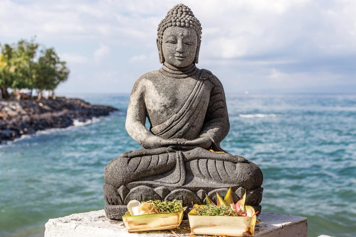 gravotonicsyoga's tweet photo. “True love is born from understanding.”
― The Buddha #waisakday https://t.co/GOQLOixfX0